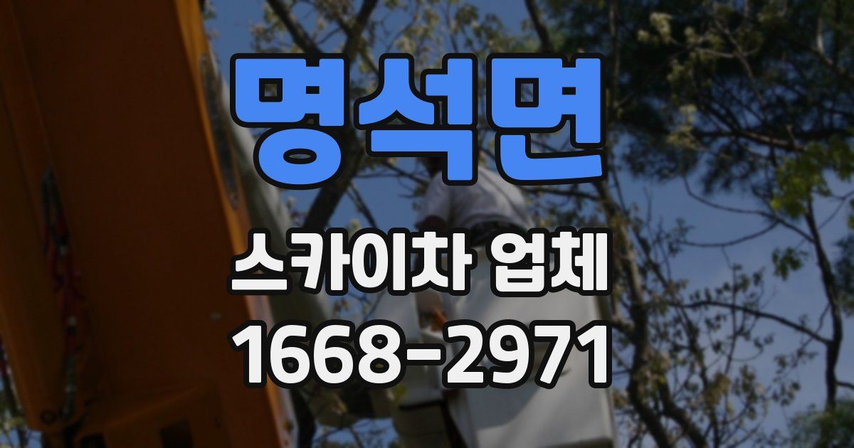 명석면 스카이차 업체