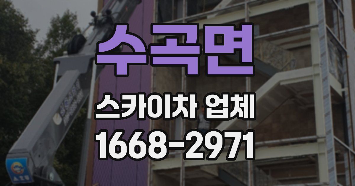 수곡면 스카이차 업체