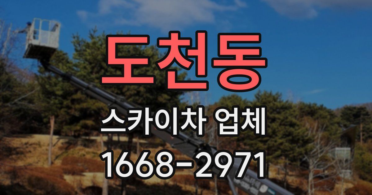 도천동 스카이차 업체
