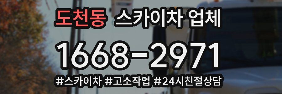 도천동 스카이차 업체