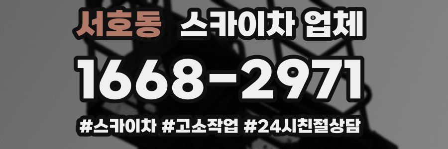 서호동 스카이차 업체