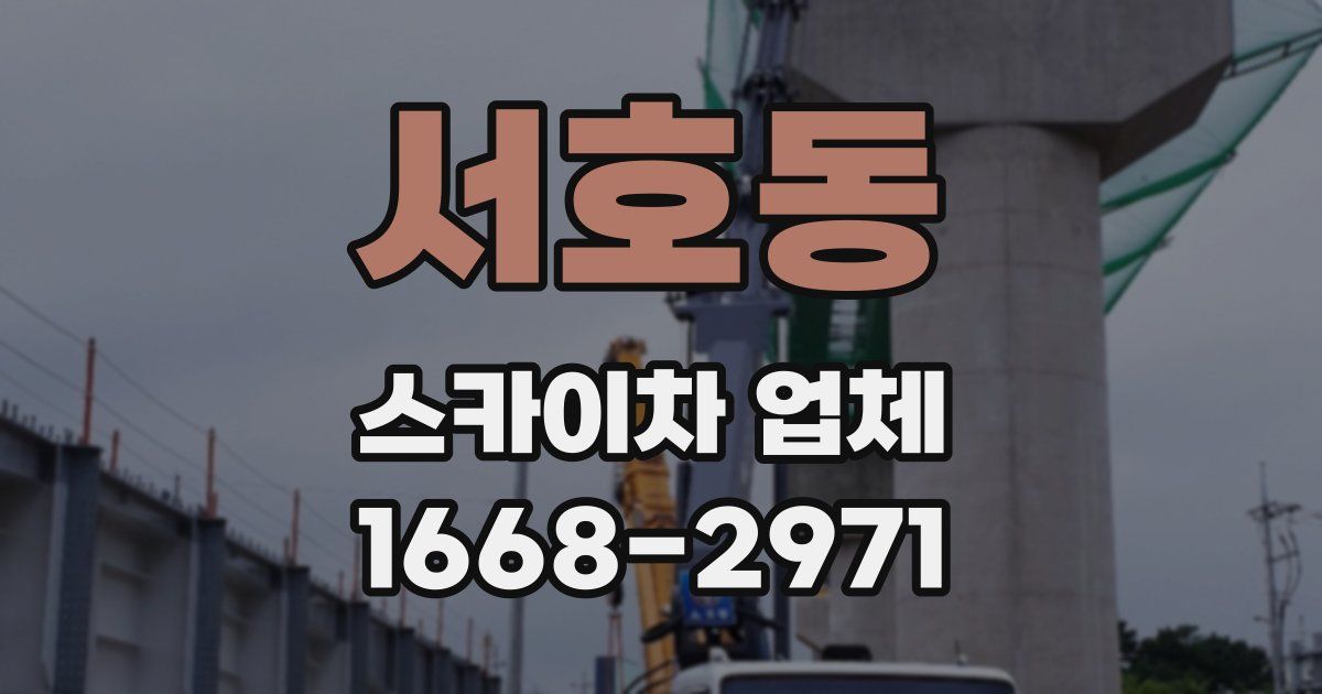 서호동 스카이차 업체