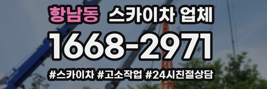 항남동 스카이차 업체