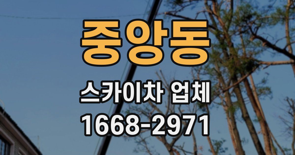 중앙동 스카이차 업체