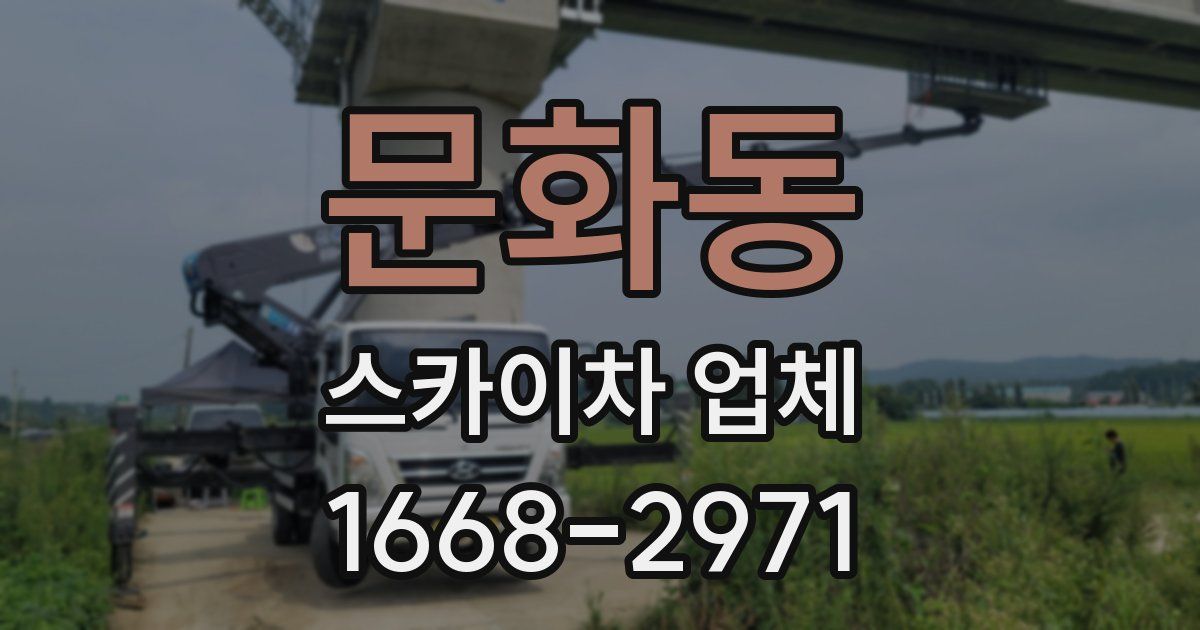 문화동 스카이차 업체