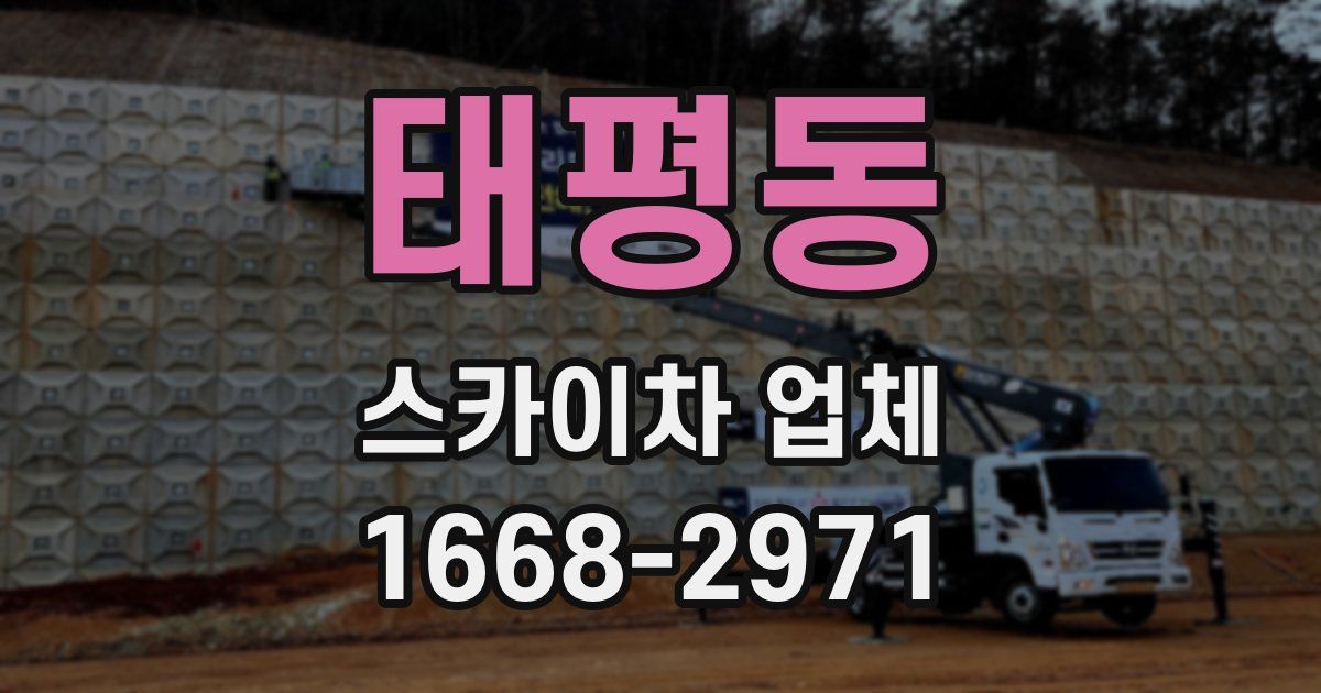 태평동 스카이차 업체