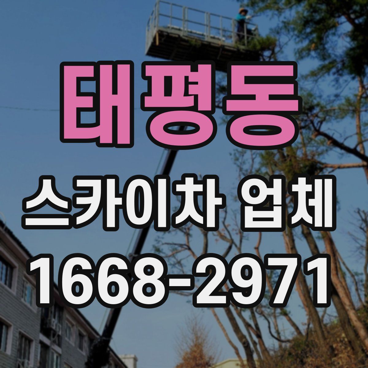 태평동 스카이차 업체