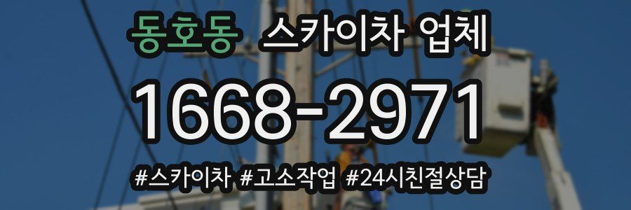 동호동 스카이차 업체