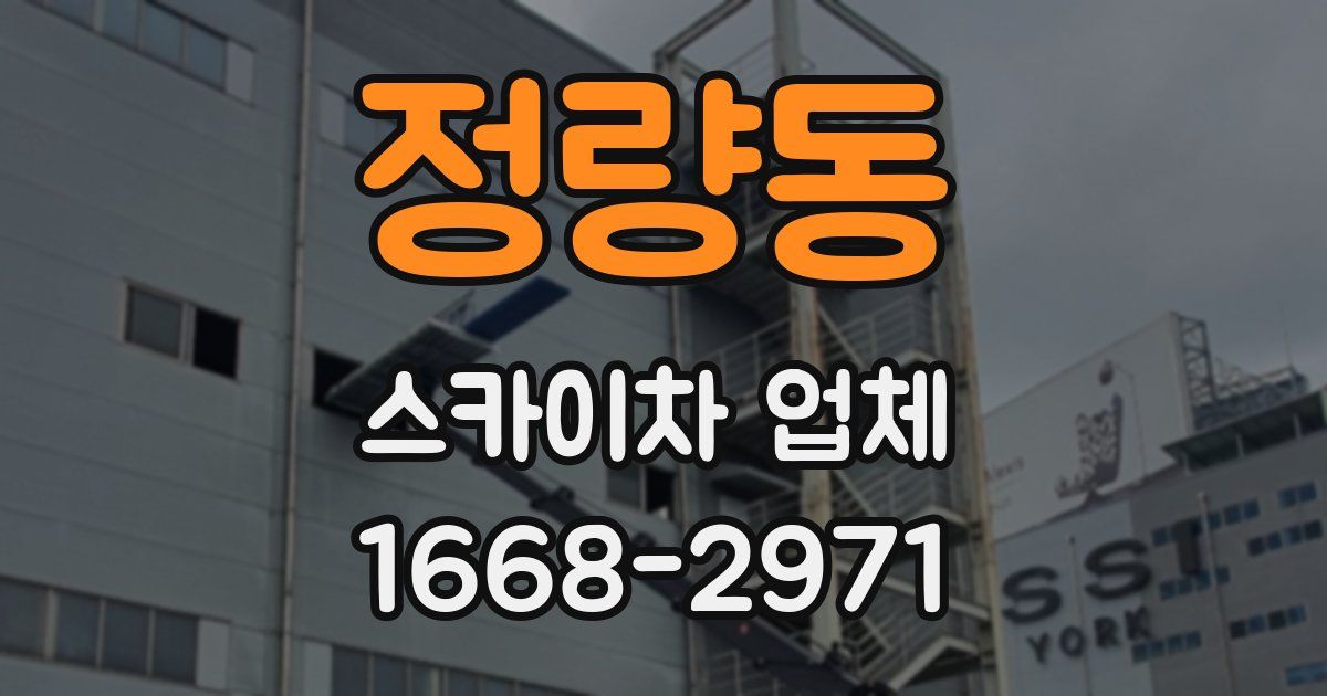 정량동 스카이차 업체