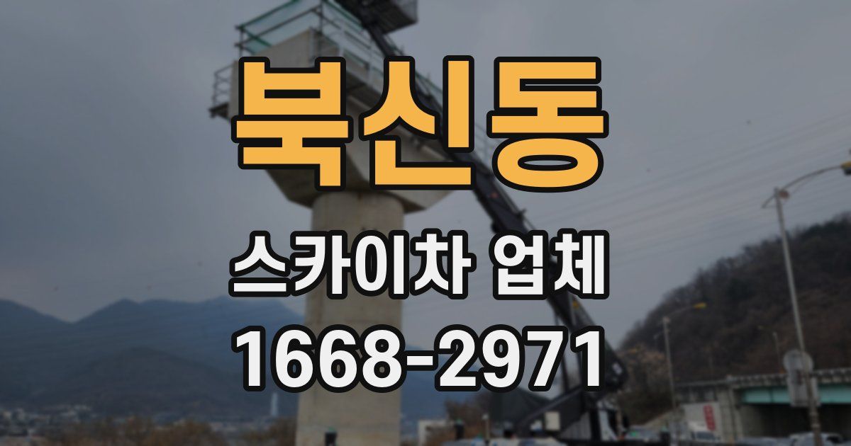 북신동 스카이차 업체