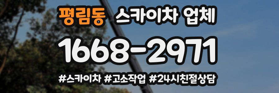 평림동 스카이차 업체
