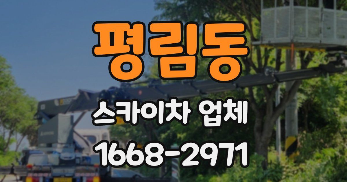평림동 스카이차 업체