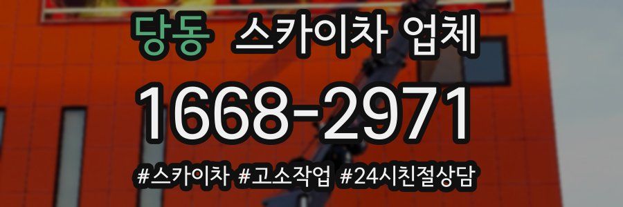 당동 스카이차 업체