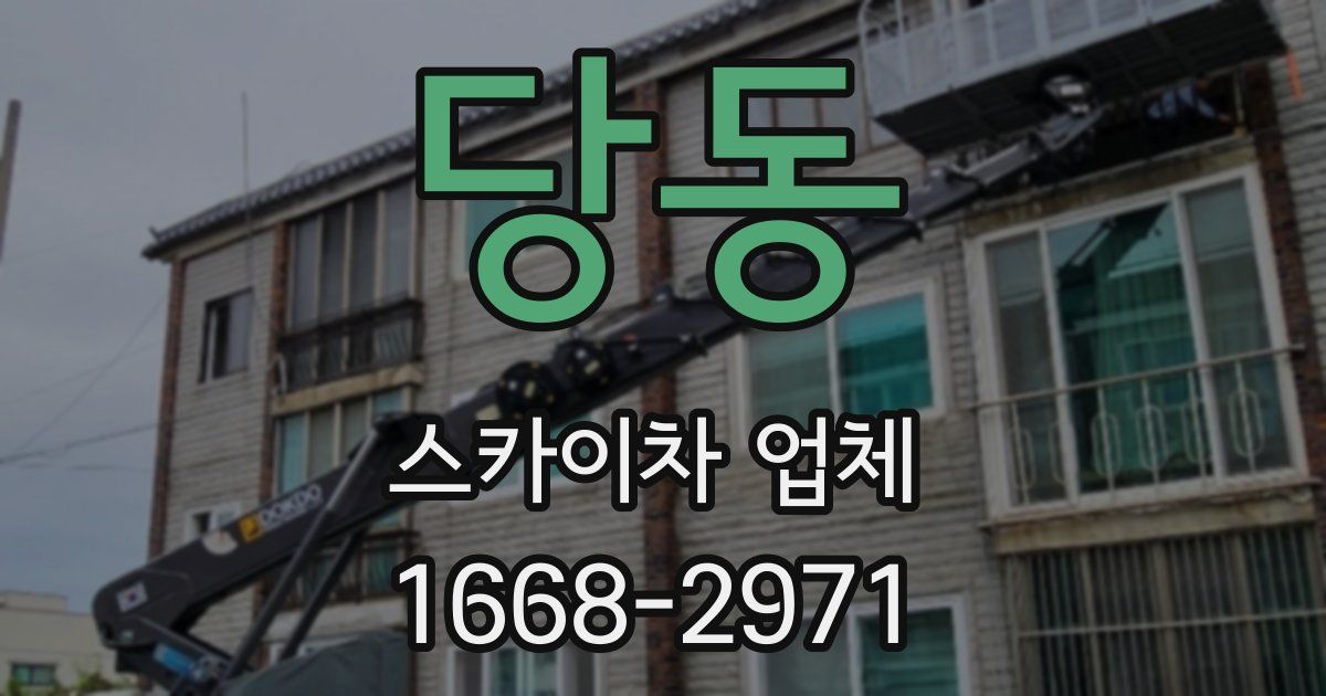 당동 스카이차 업체