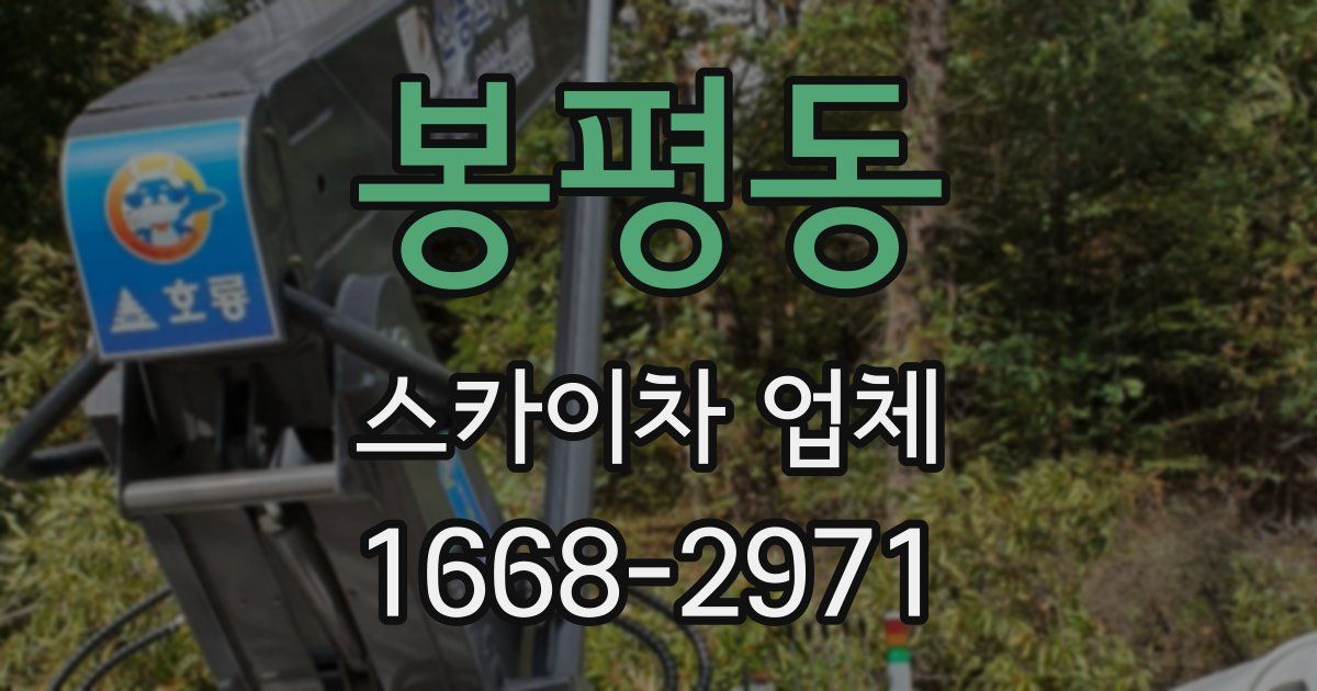 봉평동 스카이차 업체