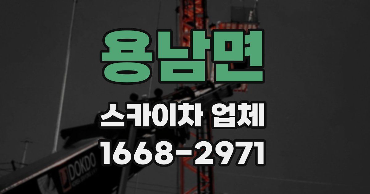 용남면 스카이차 업체