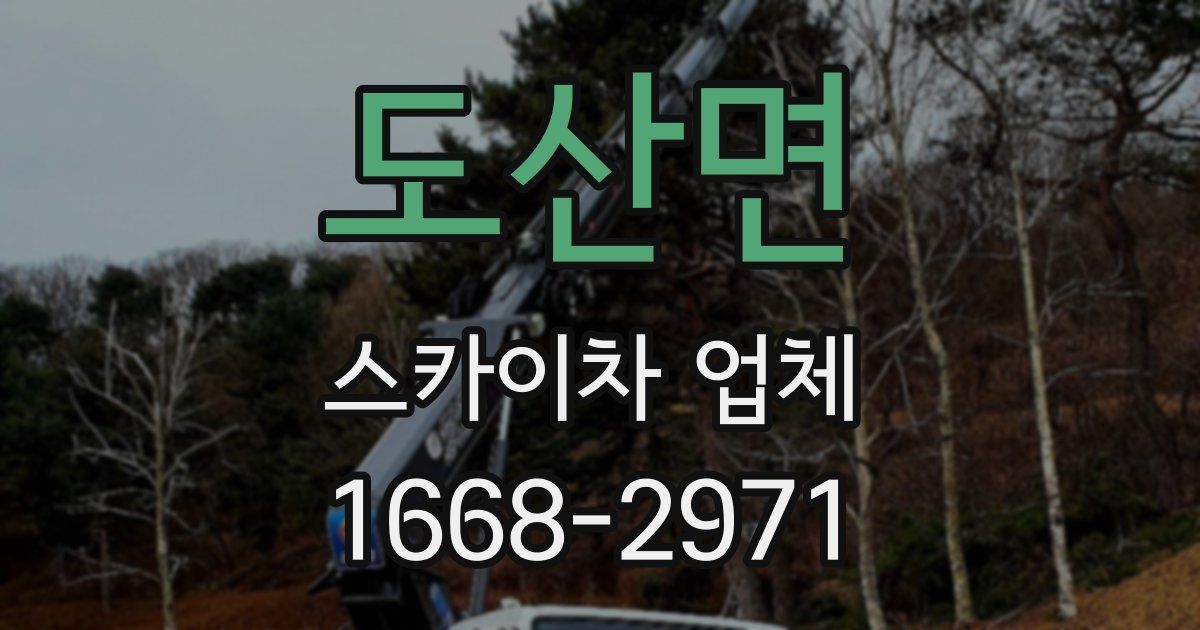 도산면 스카이차 업체