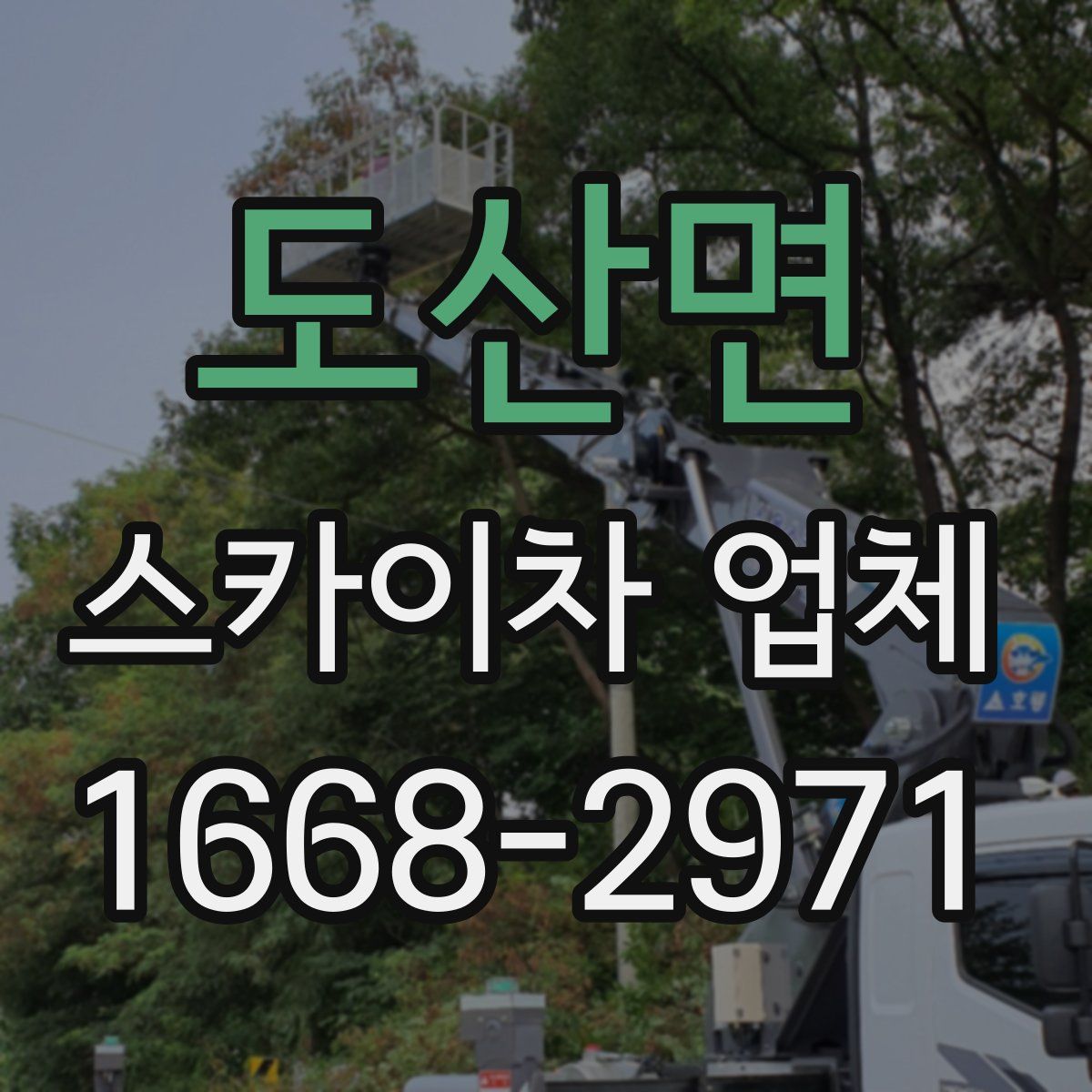 도산면 스카이차 업체