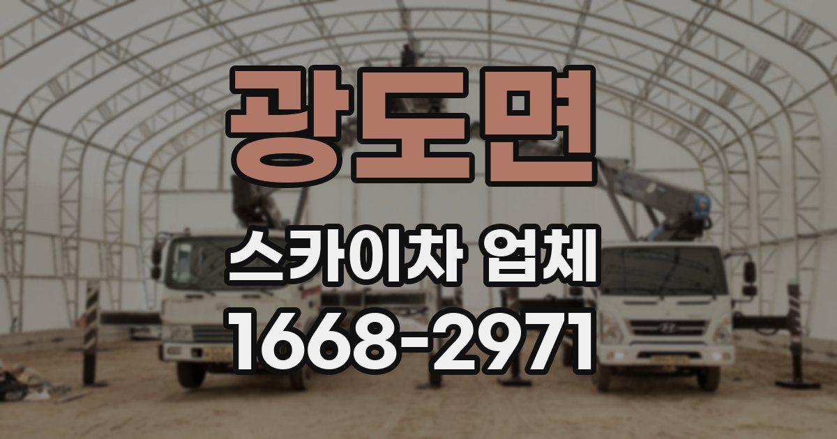 광도면 스카이차 업체