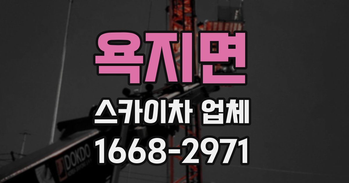 욕지면 스카이차 업체