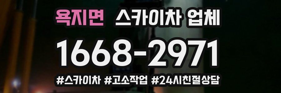 욕지면 스카이차 업체