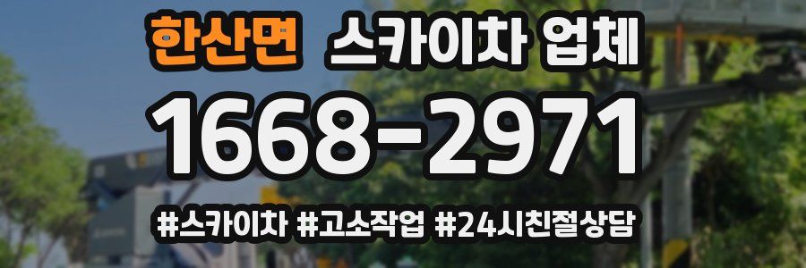 한산면 스카이차 업체
