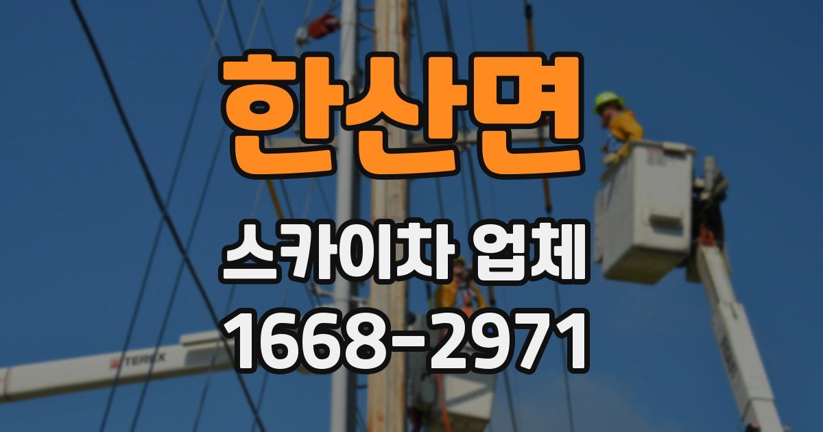 한산면 스카이차 업체