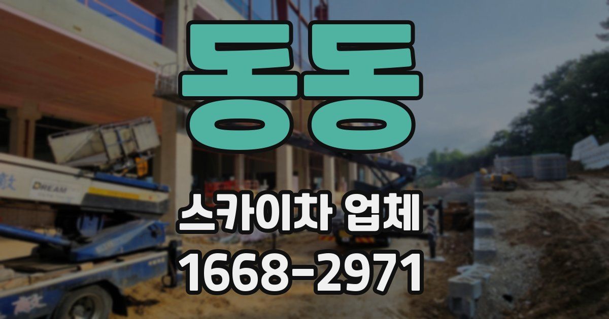 동동 스카이차 업체