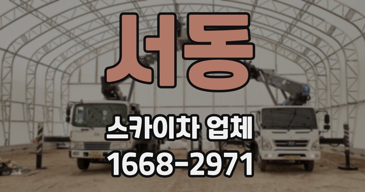 서동 스카이차 업체