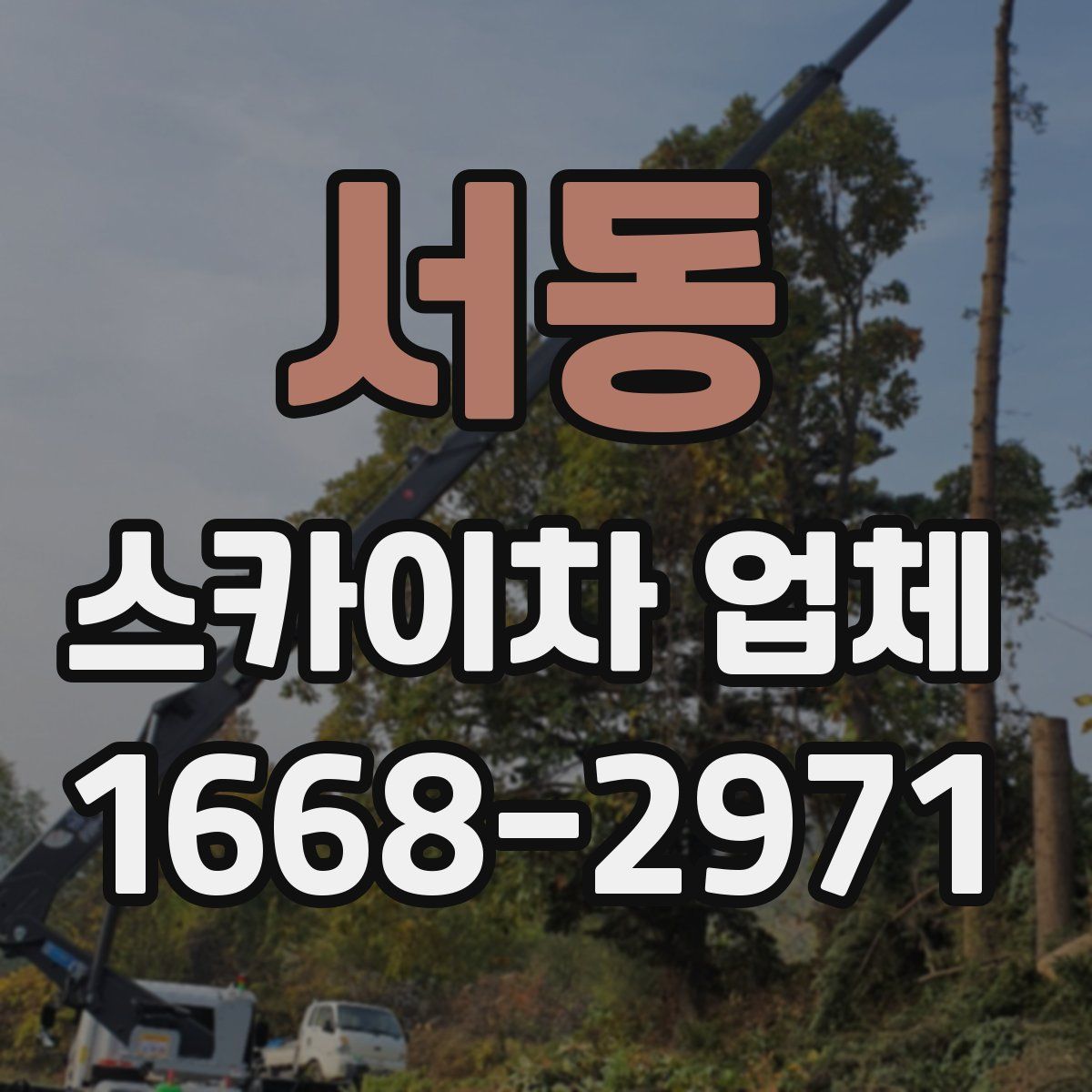 서동 스카이차 업체