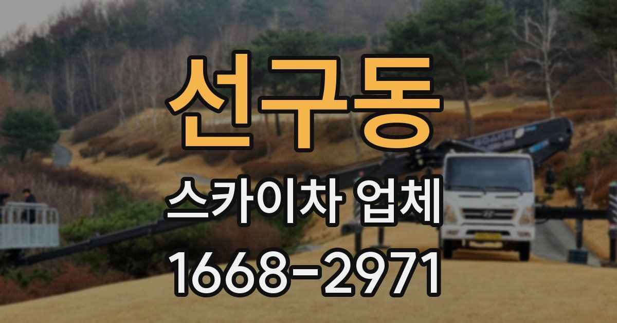 선구동 스카이차 업체