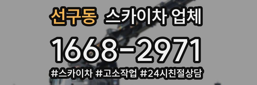 선구동 스카이차 업체