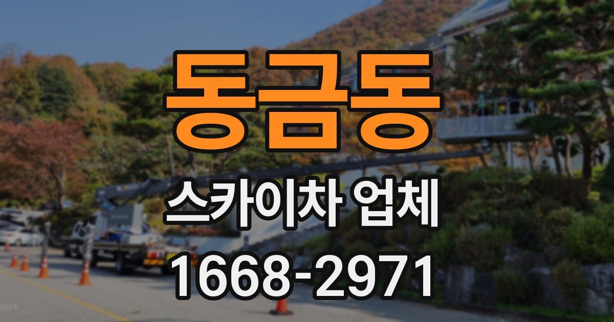 동금동 스카이차 업체