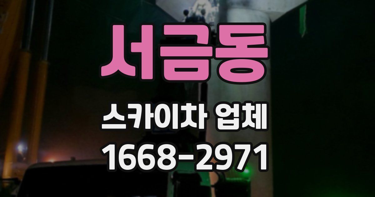 서금동 스카이차 업체