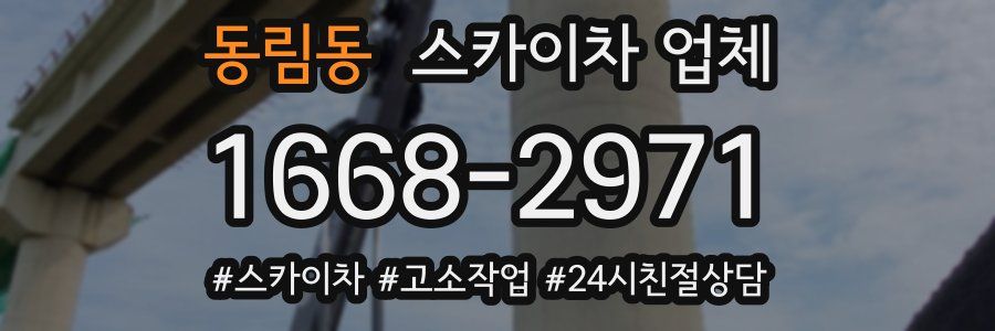 동림동 스카이차 업체