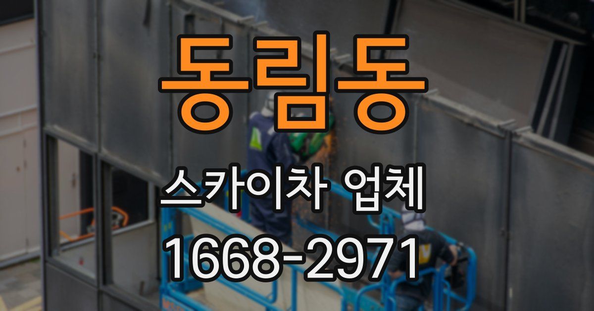 동림동 스카이차 업체