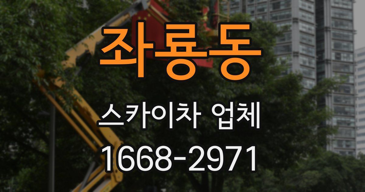 좌룡동 스카이차 업체