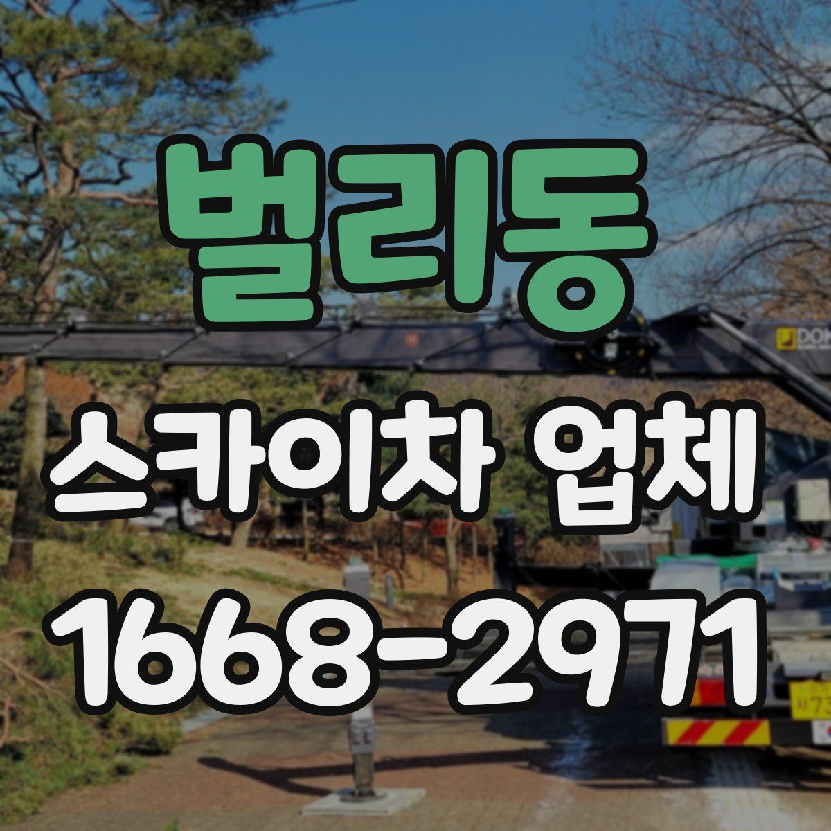 벌리동 스카이차 업체