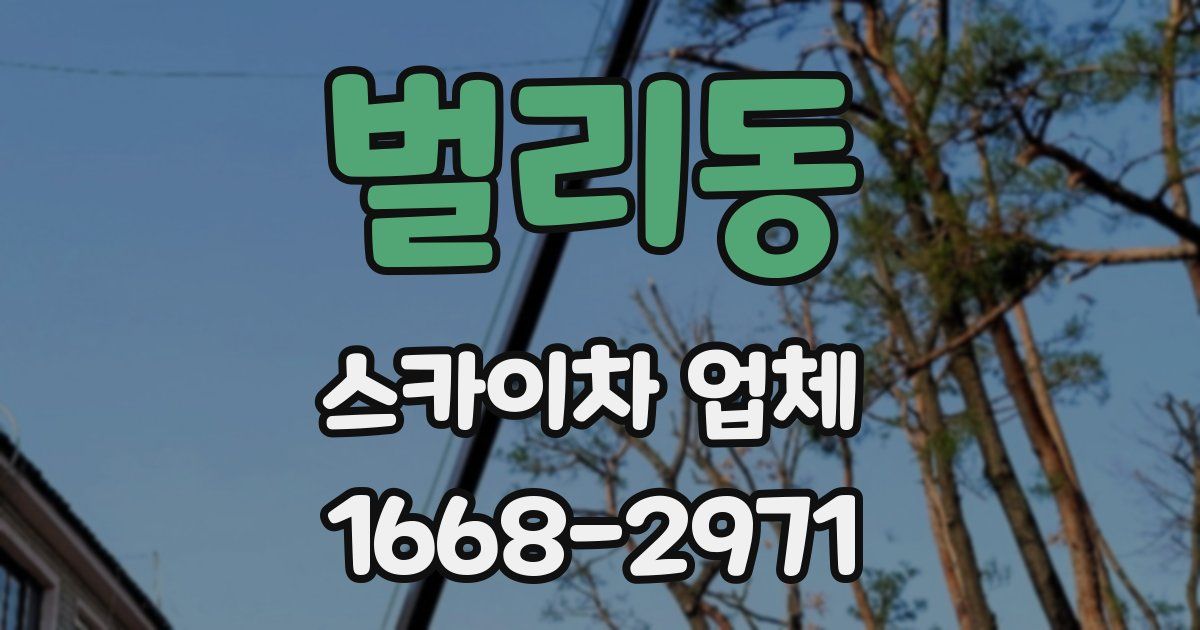 벌리동 스카이차 업체