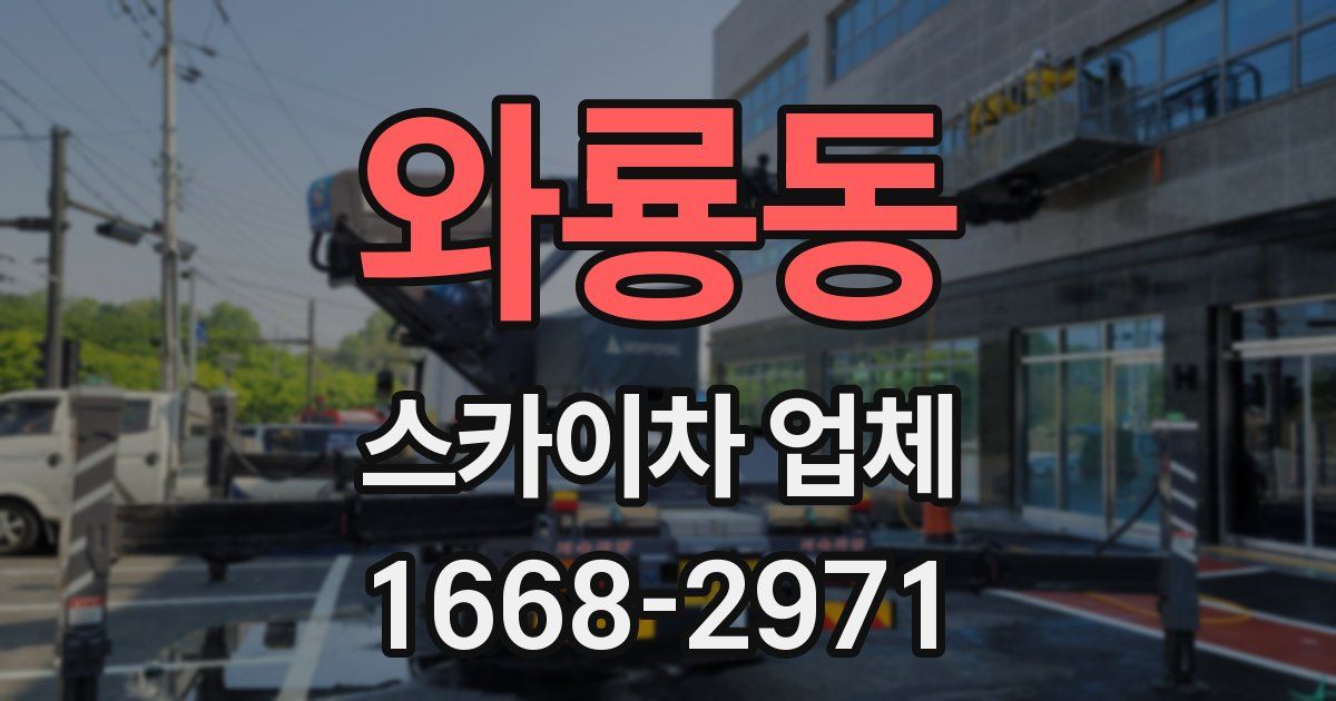 와룡동 스카이차 업체