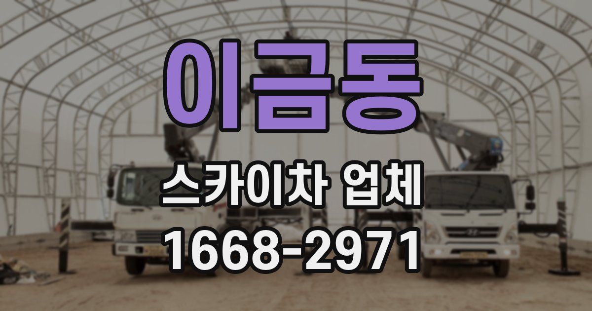 이금동 스카이차 업체