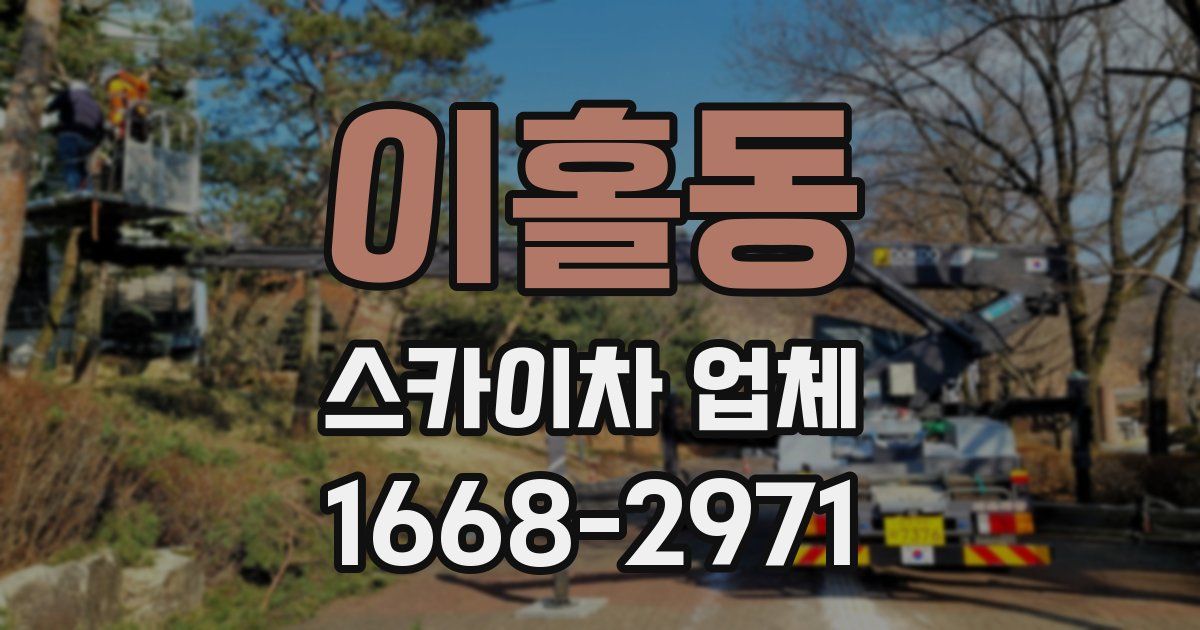 이홀동 스카이차 업체