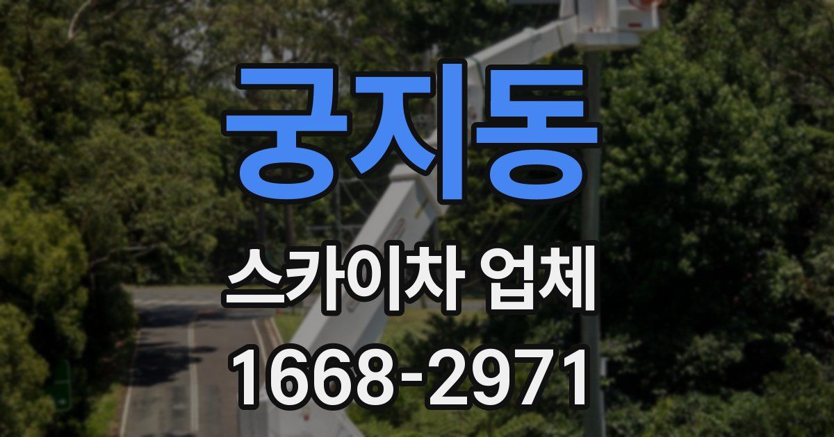 궁지동 스카이차 업체