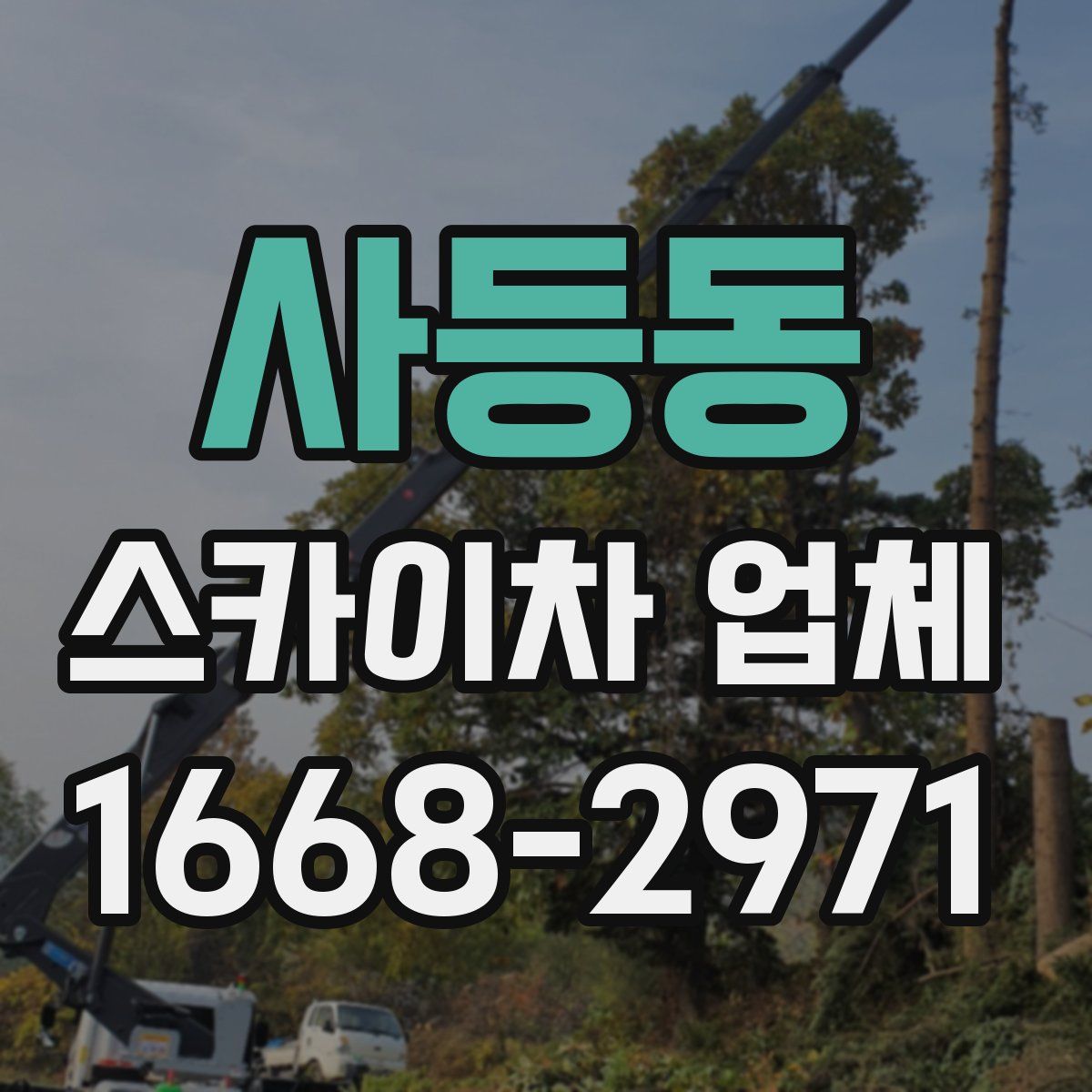 사등동 스카이차 업체