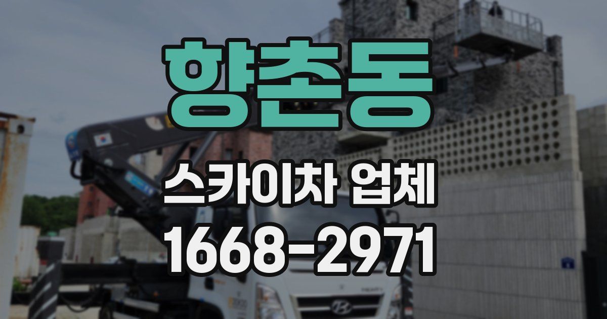 향촌동 스카이차 업체