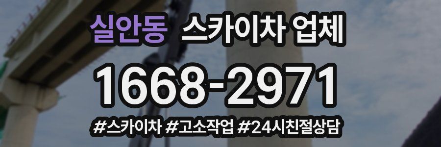 실안동 스카이차 업체