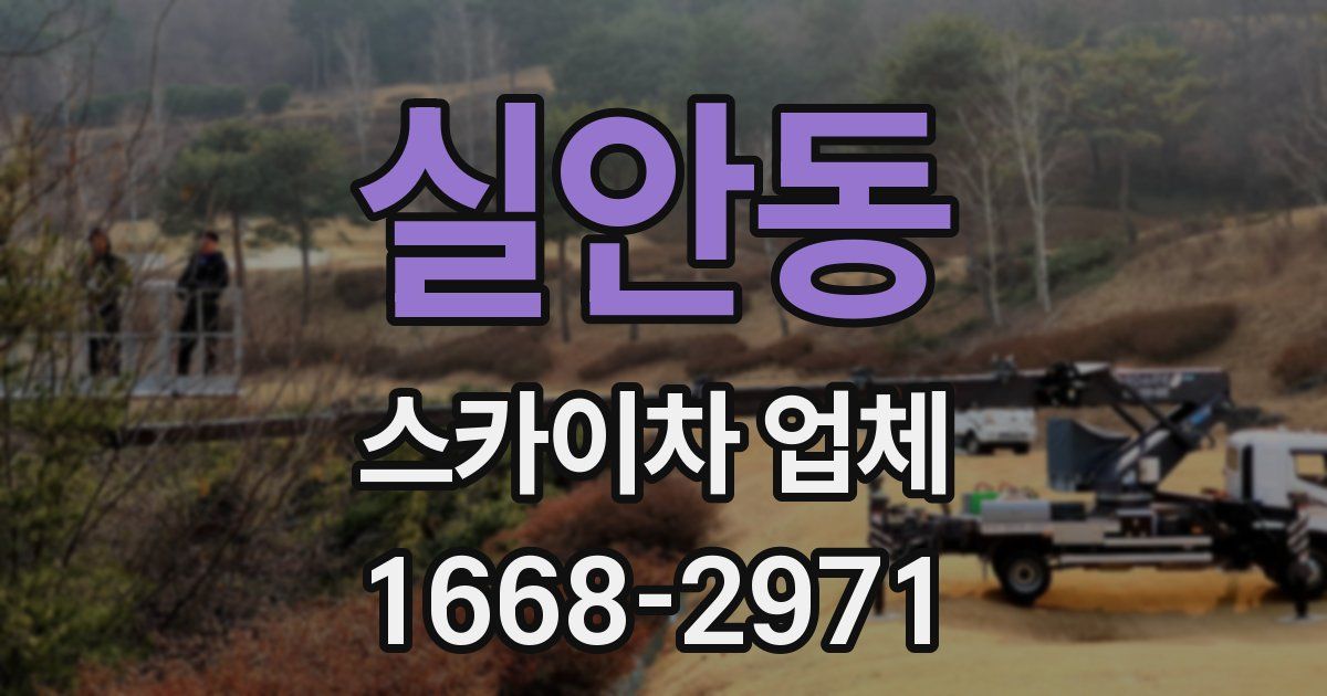 실안동 스카이차 업체
