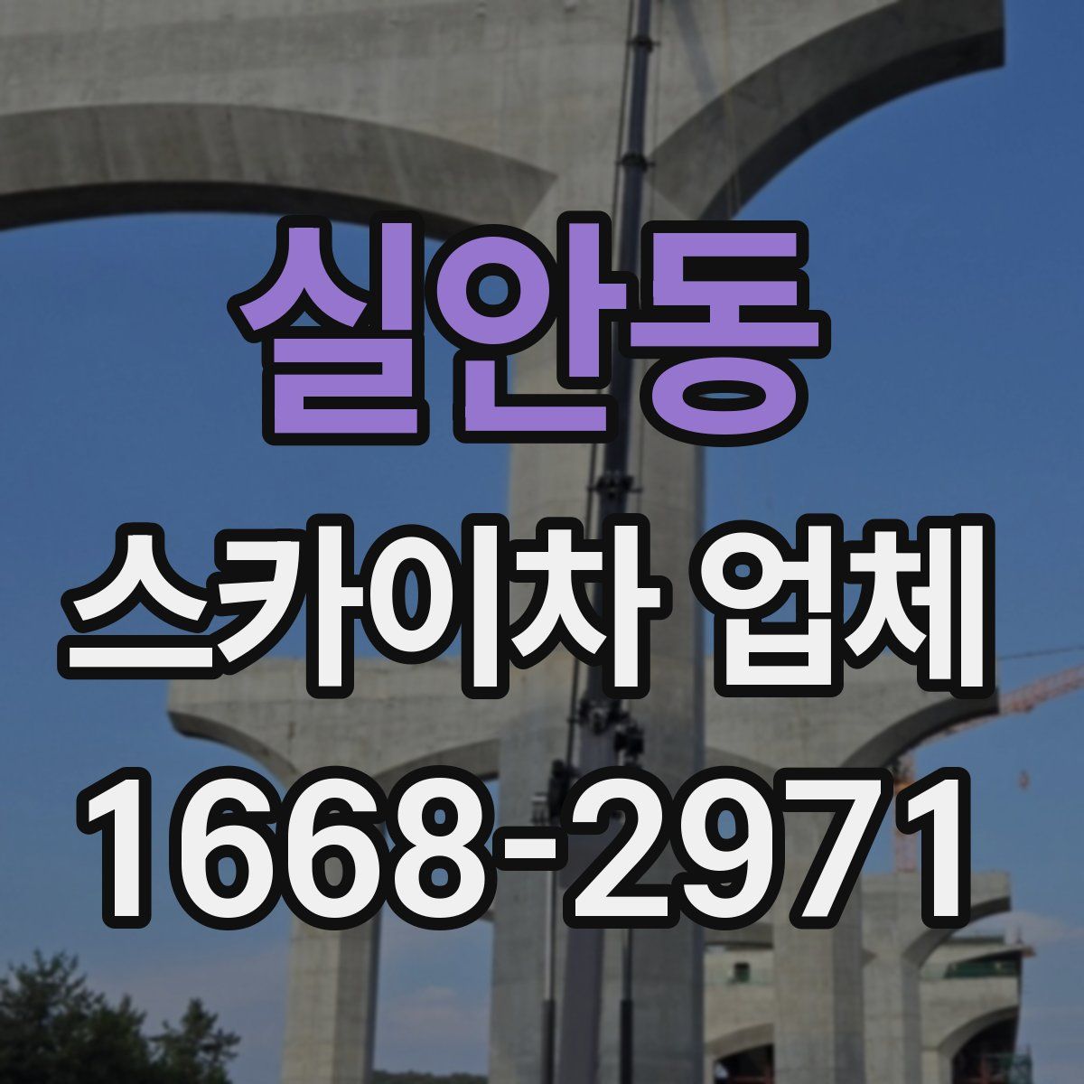 실안동 스카이차 업체