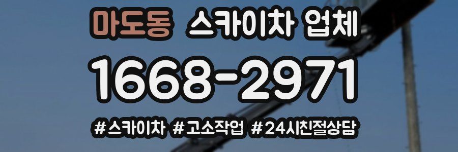 마도동 스카이차 업체