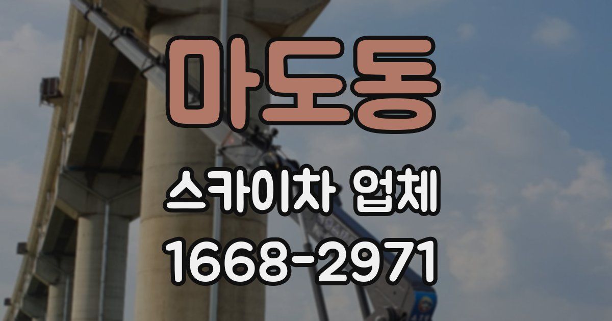 마도동 스카이차 업체